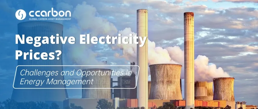 Negative Electricity Prices?: Challenges and Opportunities in Energy Management